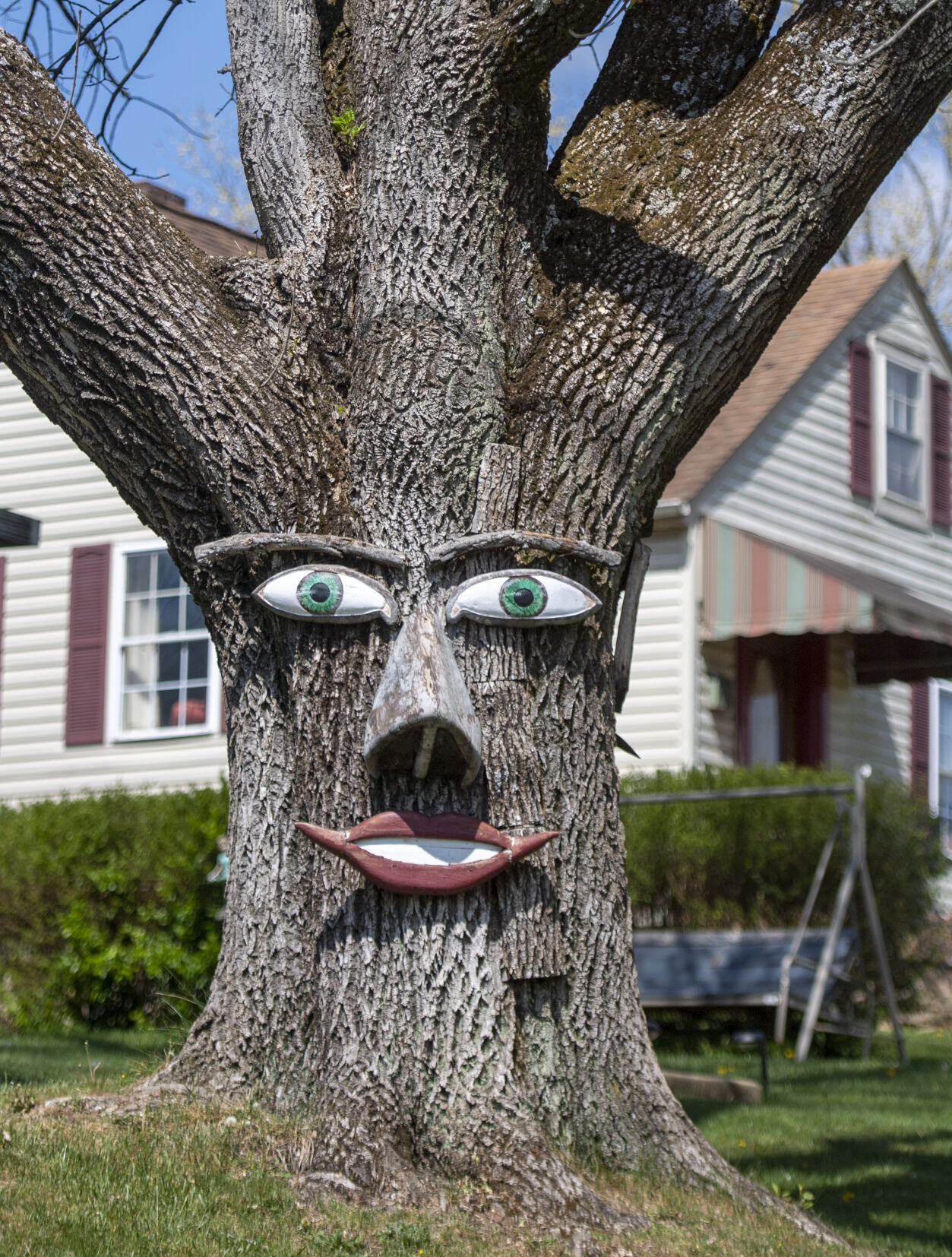 Tree Face-02